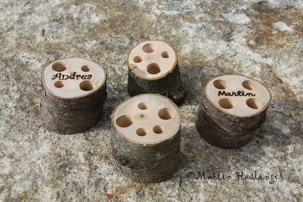 Multistifthalter Ast - Hartholz