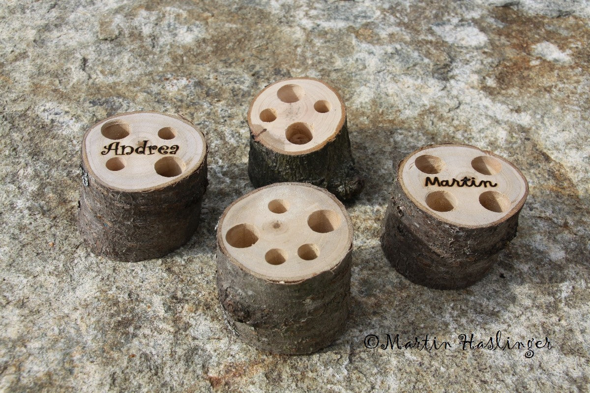 Multistifthalter Ast - Hartholz